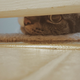 My lady’s cat - Simba from under the bathroom door